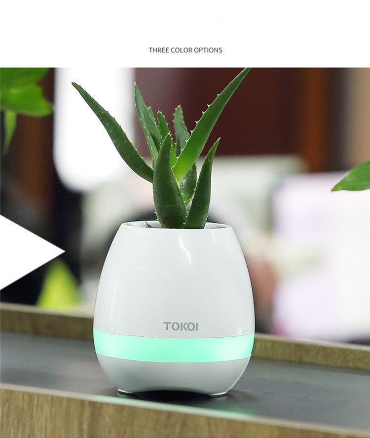 Touch-sensitive music vase desktop audio